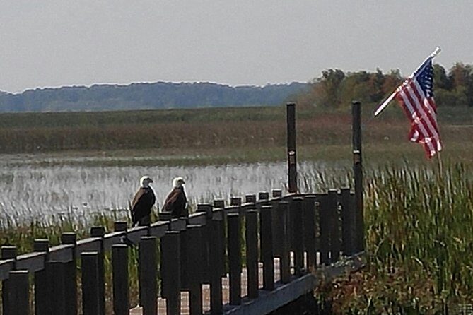 90 minute Everglades Airboat Tour near Orlando Florida - The Experience in Detail