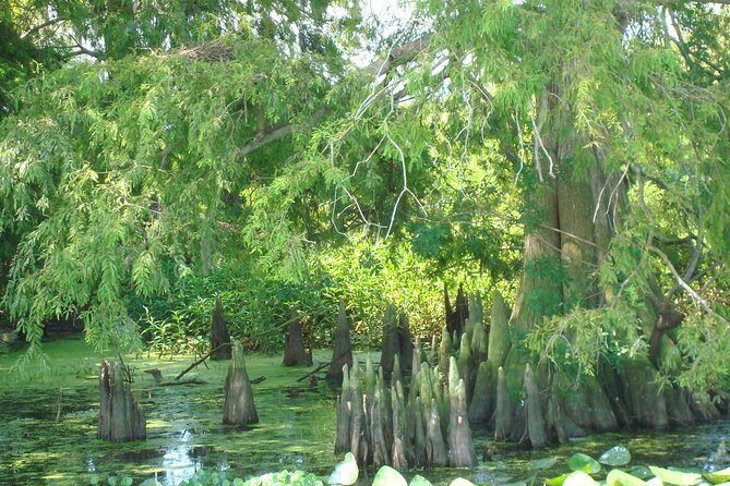 90 minute Everglades Airboat Tour near Orlando Florida - Frequently Asked Questions