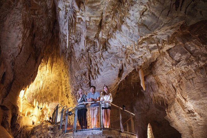 90-Minute Guided Ruakuri Cave Tour Waitomo - Why the Ruakuri Cave Tour is Worth Considering