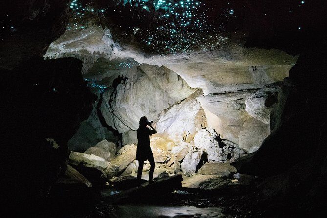 90-Minute Guided Ruakuri Cave Tour Waitomo - Who Should Consider This Tour?