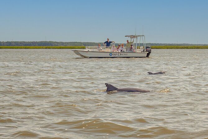 90 Minute Hilton Head Dolphin and Nature Cruise - The Value Proposition