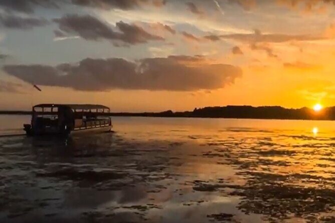 90 Minute Pontoon Cruise in Florida - A Closer Look at the 90-Minute Pontoon Cruise Experience