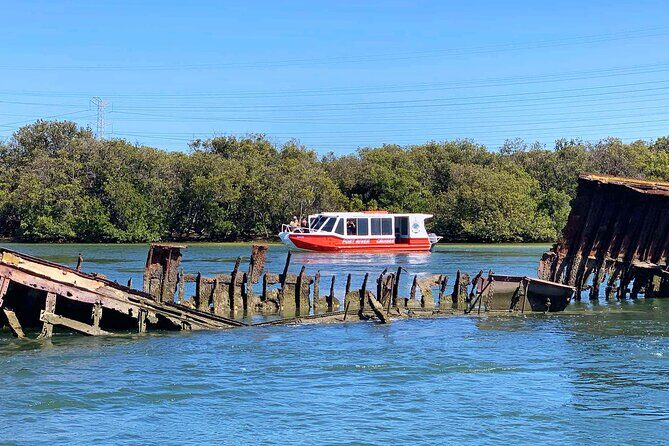 90 Minute Port River Dolphin & Ships Graveyard Cruise - Overview of the Experience