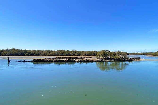 90 Minute Port River Dolphin & Ships Graveyard Cruise - Why This Tour Offers Great Value