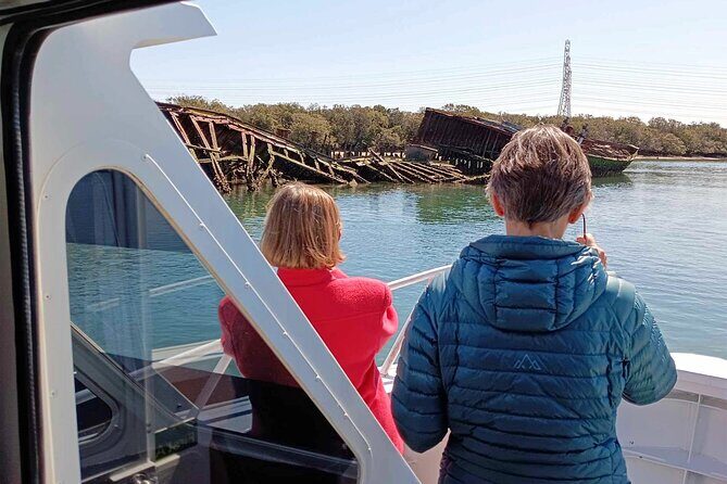 90 Minute Port River Dolphin & Ships Graveyard Cruise - Who Should Consider This Tour