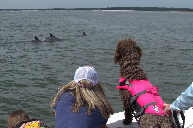 90-Minute Private Dolphin Tour in Hilton Head Island - Why This Dolphin Tour Stands Out