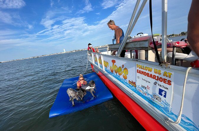 90 Minute Scenic Back Bay Cruise - Who Should Consider This Tour?