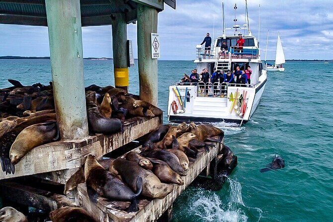 90 minute wildlife and scenic cruise - Why Wildlife Sightings Matter