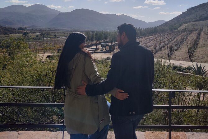 $99 Valle de Guadalupe Wine Tours - DayTrip to baja from San Diego - Whats Included and Whats Not