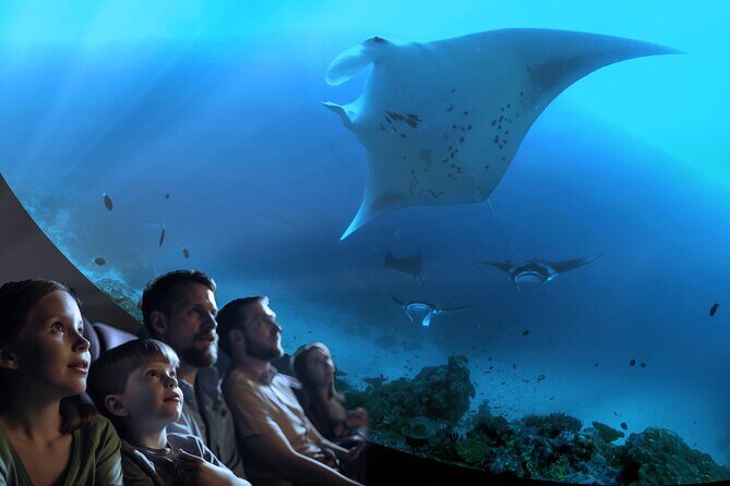 A 360° Immersive Ocean Movie Experience (Catalina Island) - Introduction