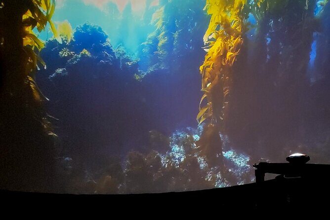 A 360° Immersive Ocean Movie Experience (Catalina Island) - The Sum Up