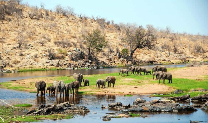 A 5-Day big five safari in Tanzania - The Value and Experience