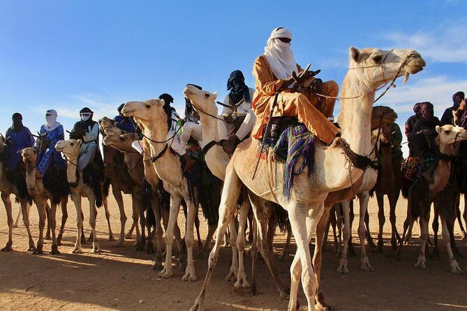 A 5-Day Cultural and Wildlife Adventure in Niamey - Wrapping Up: Departure & Final Impressions