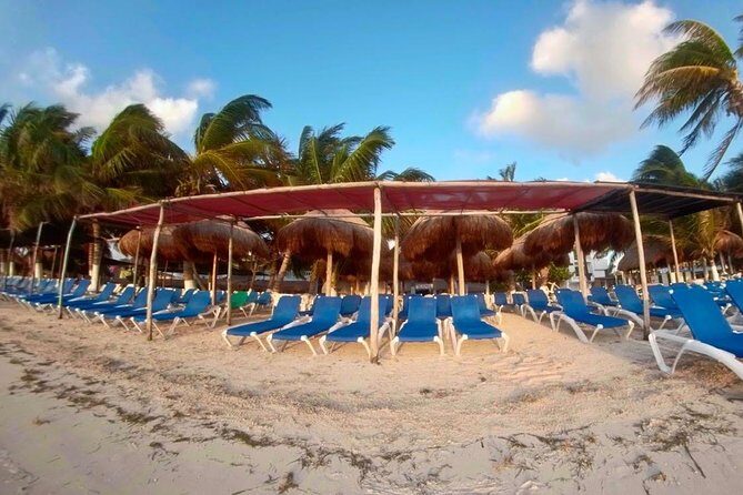 A beach day with open bar, lunch and snorkeling LOS ARRECIFES RESTAURANT - Price and Value