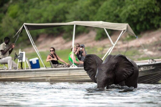 A Chobe Full Day Tour - Botwana - Practical Tips for Travelers