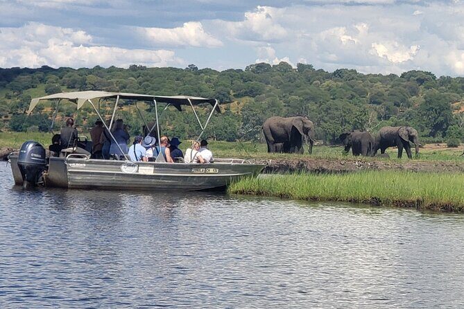 A Chobe Full Day Tour - Botwana - FAQs