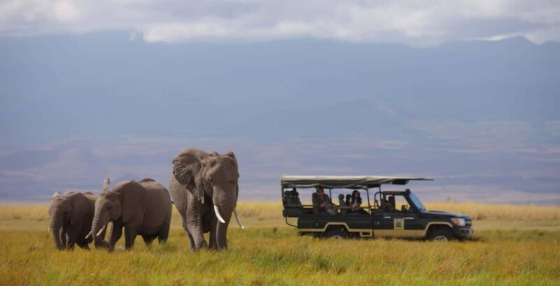 A Day at Amboseli National Park from Nairobi - A Closer Look at the Experience