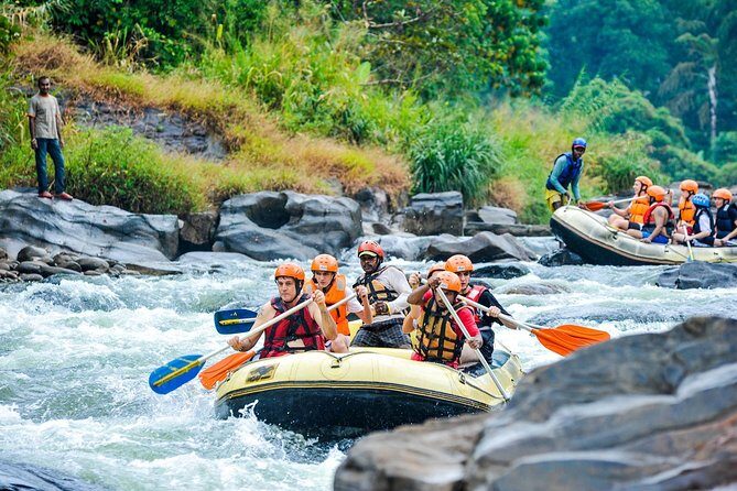 A Day Excursion to Kithulgala Rafting - A Complete Look at the Kithulgala Rafting Day Tour