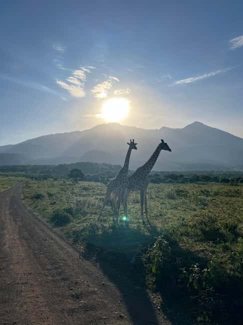 A Day in Arusha National Park - Single-Day Trip - Key Points