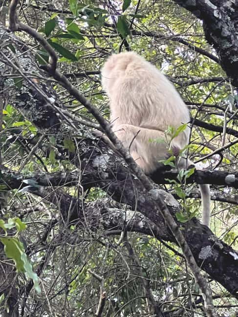 A Day in Arusha National Park - Single-Day Trip - The Sum Up
