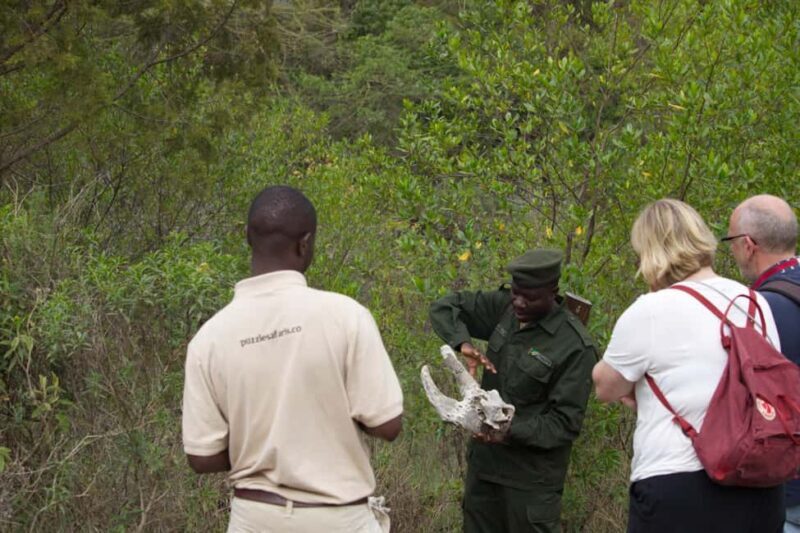 A Day in Arusha National Park - Single-Day Trip - FAQ