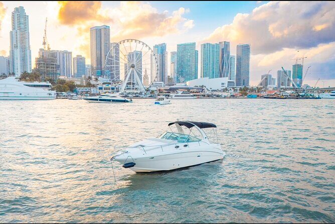 A Day in Miami Paradise - Frequently Asked Questions (FAQs)