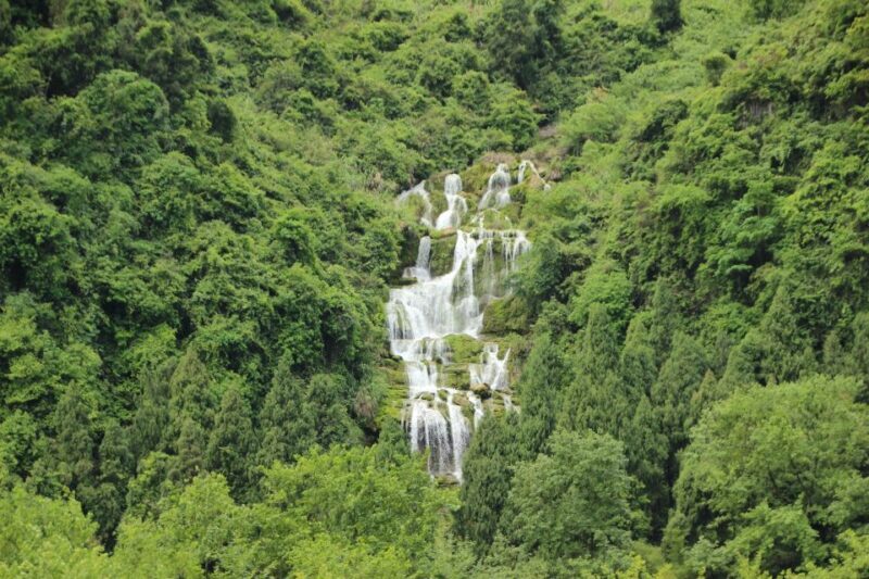 A Day in Munnar: Nature, Culture, and Local Flavor - FAQ