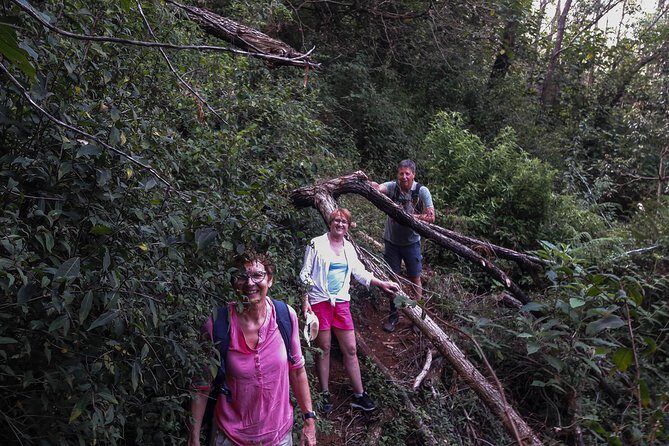 A Day in Nuwara Eliya: Sights & Local Delights - Exploring the Landscape of Nuwara Eliya