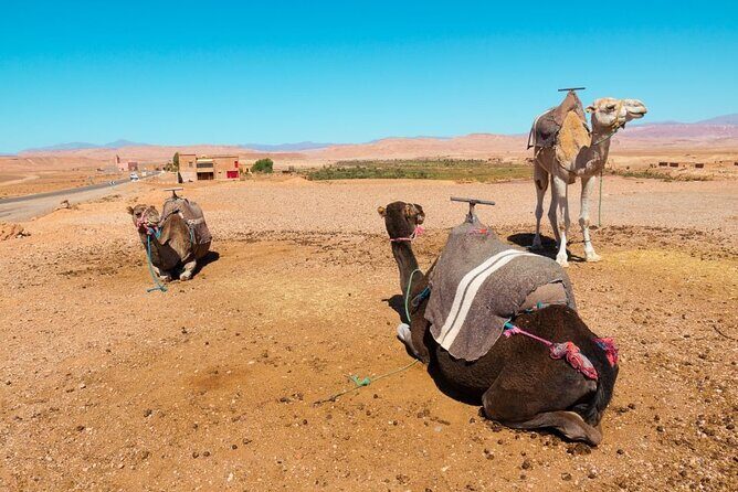 a day in the High Atlas and discovery of Berber culture - The Itinerary: What to Expect