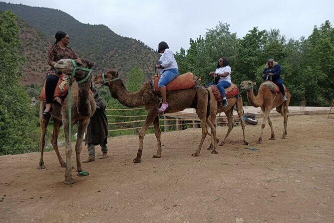 a day in the High Atlas and discovery of Berber culture - The Value Proposition