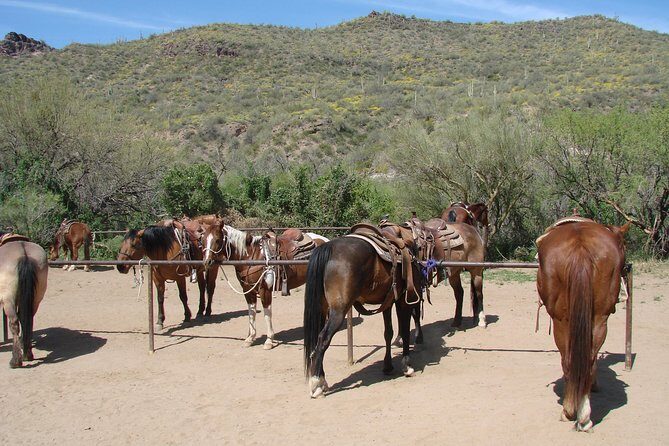 A Day In The Old West Adventure including Horseback Ride and Cowboy Lunch - An in-depth look at the tour experience