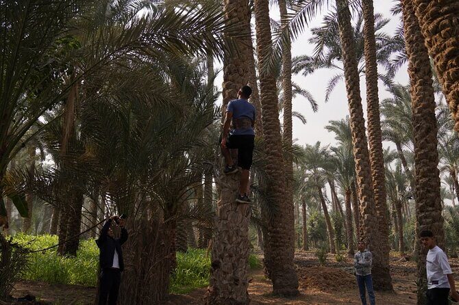 A day like a farmer in Dahsure countryside with locals - What’s Included and What to Expect