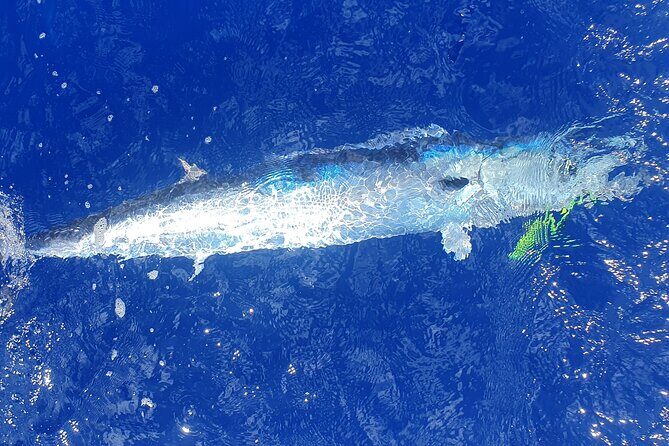 A Day of Big Game Fishing in a small group - FAQ