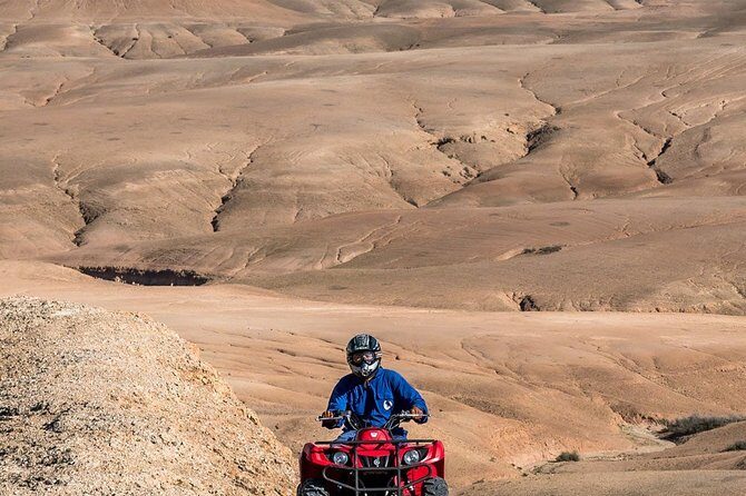 A Day of Desert Discovery: Lunch, Quad & Camel Ride in Agafay - Key Points