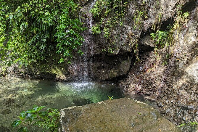 A Day of Relaxation in the Jungle and Waterfalls of Dominica - The Sum Up