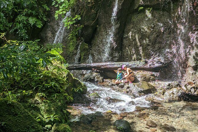 A Day of Relaxation in the Jungle and Waterfalls of Dominica - FAQs