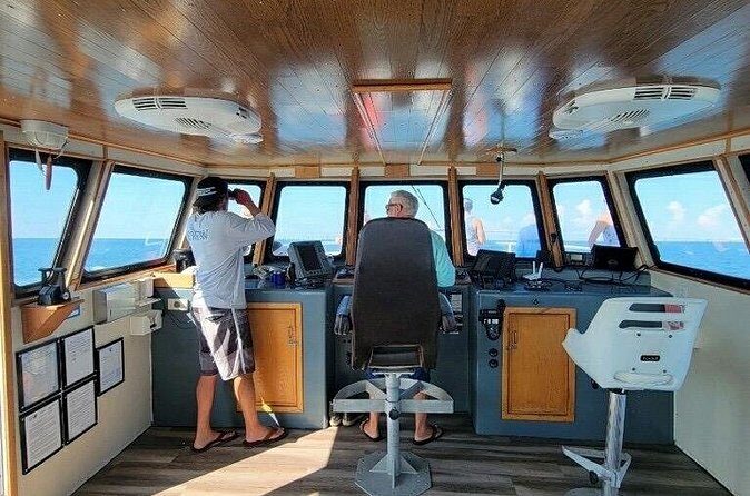 A Day on the Bay - Is This Tour Right for You?