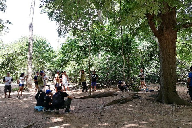 A Day to Komodo Island - Key Points