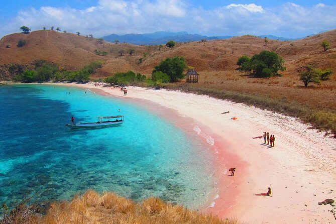 A Day to Komodo Island - Price, Value, and Practical Considerations