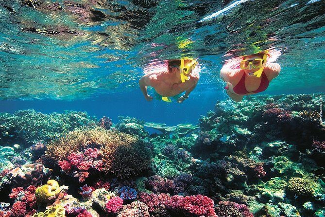 A Day to Komodo Island - FAQ