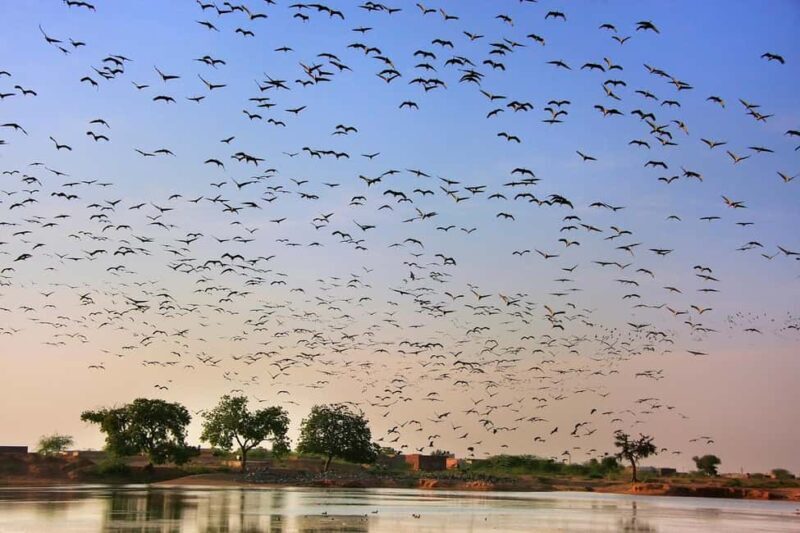 A Day Tour of Bharatpur Bird Sanctuary from Agra. - Detailed Breakdown of the Itinerary
