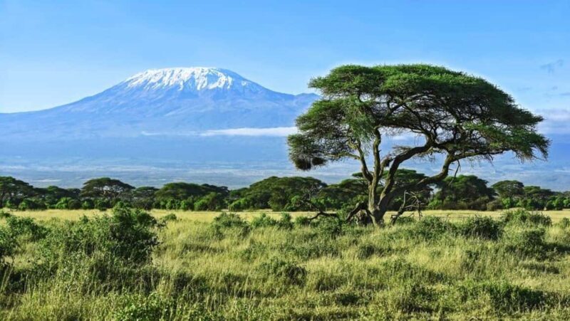 A day tour to Maasai Mara safari from Nairobi - What Makes This Tour Stand Out