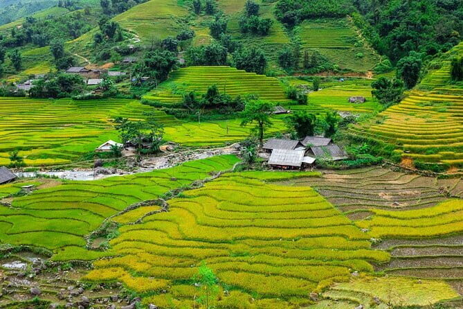 A day Trek to Rice Field in LaoChai-Tavan village-MuongHoa valley - Exploring the Rice Fields and Villages of Muong Hoa Valley: A Detailed Tour Review