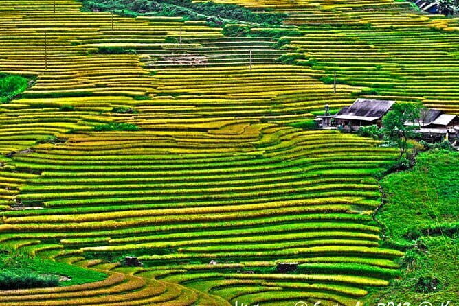 A day Trek to Rice Field in LaoChai-Tavan village-MuongHoa valley - Final Thoughts: Is It Worth It?