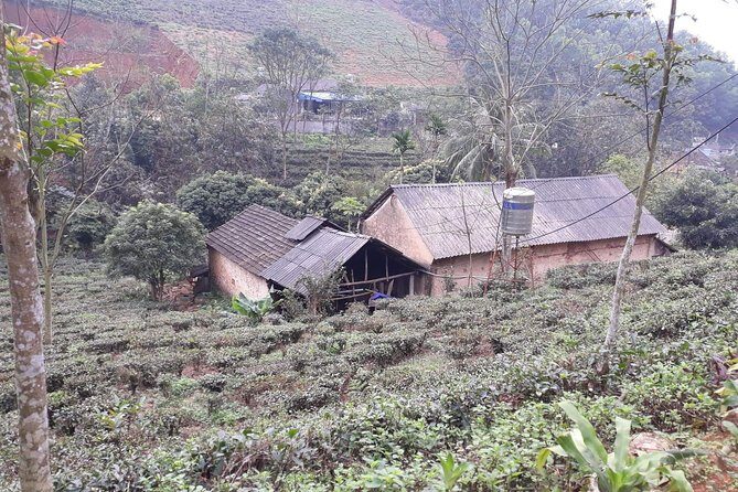 A Day Trekking in Sapa - Why This Sapa Trek Is Worth Your Time