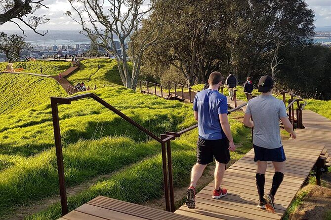 A Day Trip in Auckland City - Exploring Auckland with a Guided Day Trip