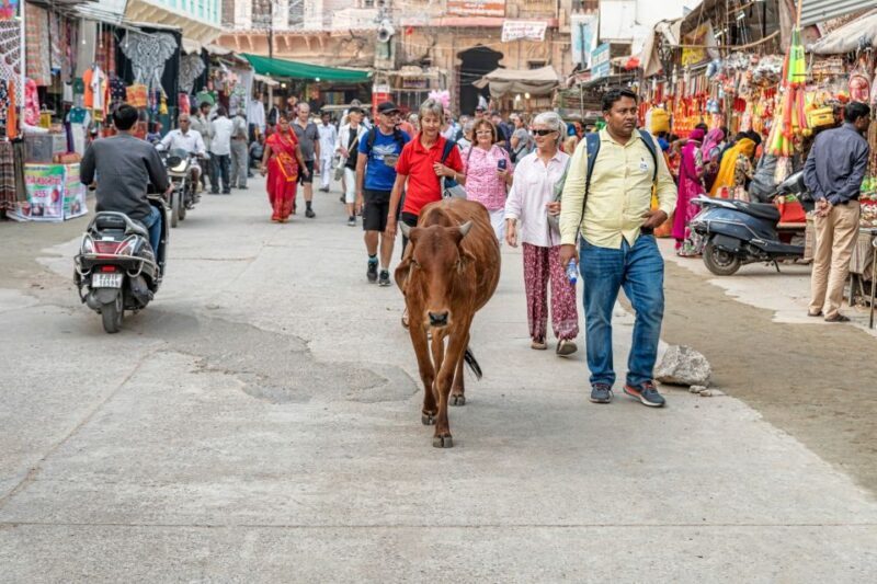 A Day Trip of Pushkar & Chittor Fort From Jaipur with Guide. - Practical Details and Tips