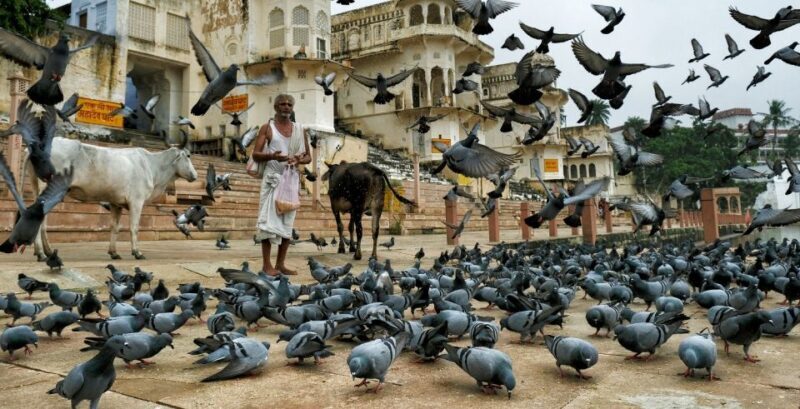 A Day Trip of Pushkar From Jaipur - Exploring Pushkar: A Spiritual Sanctuary in Rajasthan