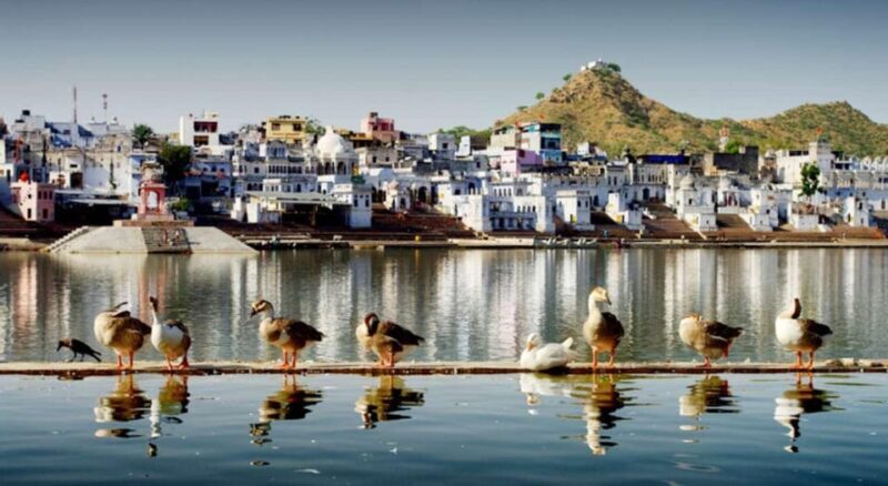 A Day Trip of Pushkar From Jaipur - Final Words