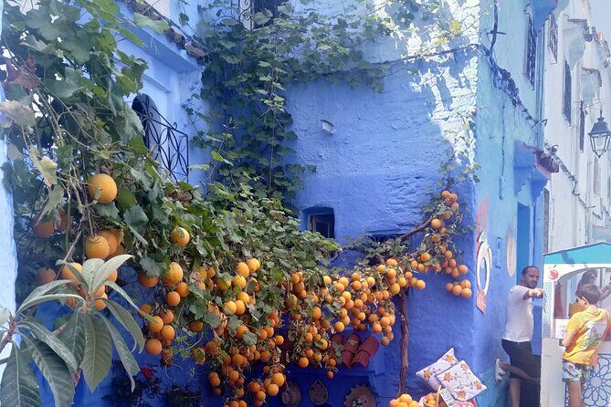 A day trip to chefchaouen from tangier - Key Points